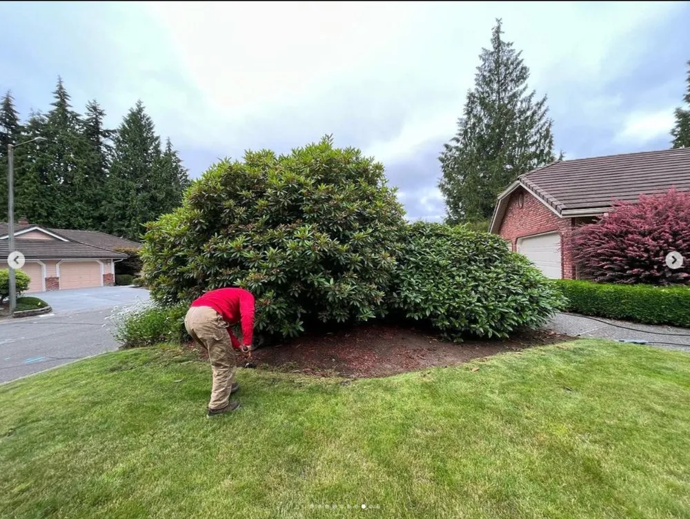 Professional outdoor landscaping experts serving Mount Vernon, WA - Pizano Landscaping