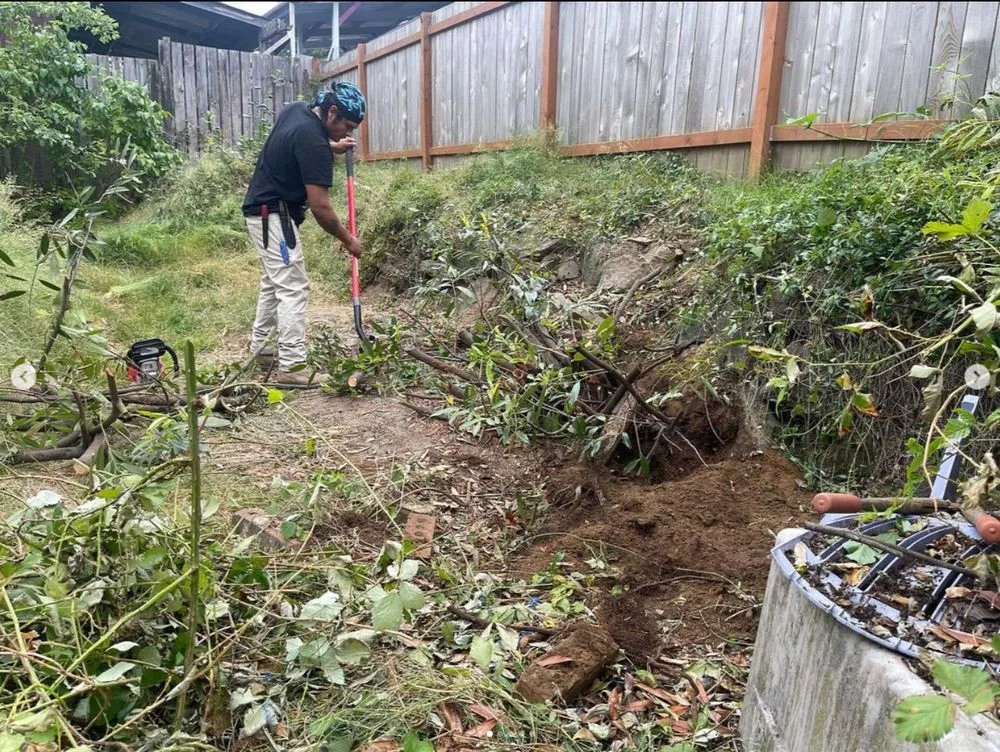 Expert residential landscaping in Mount Vernon, WA - Pizano Landscaping