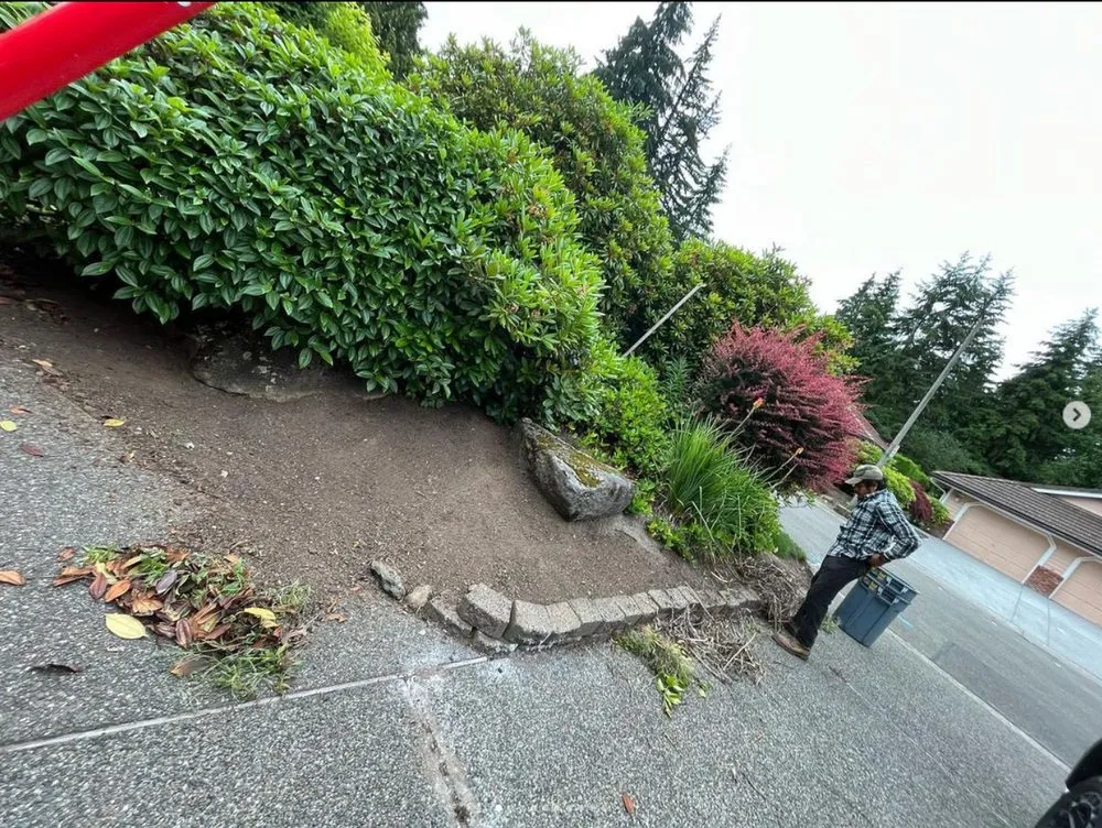 Affordable outdoor landscaping in Mount Vernon, WA by Pizano Landscaping
