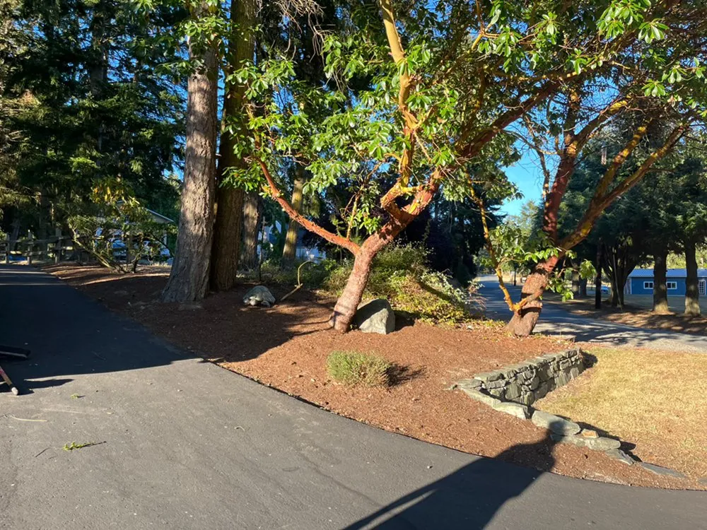 Local landscaping services experts serving Mount Vernon, WA - Pizano Landscaping