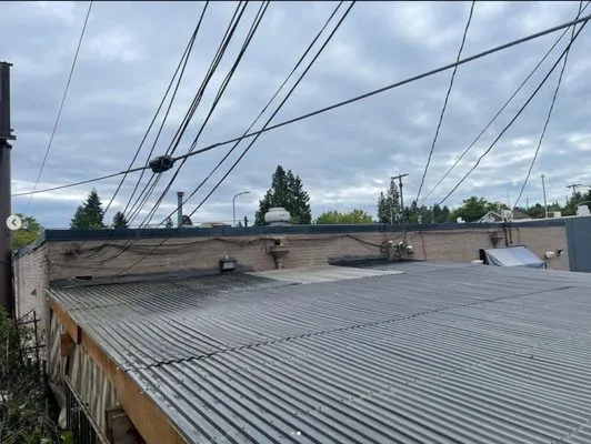 Pizano Landscaping Logo