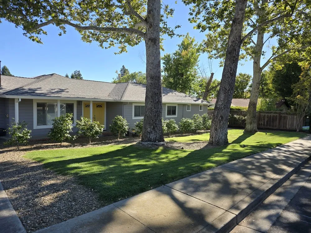 Reliable lawn mowing service near you across Clayton, CA - Pizzagoni's Landscaping