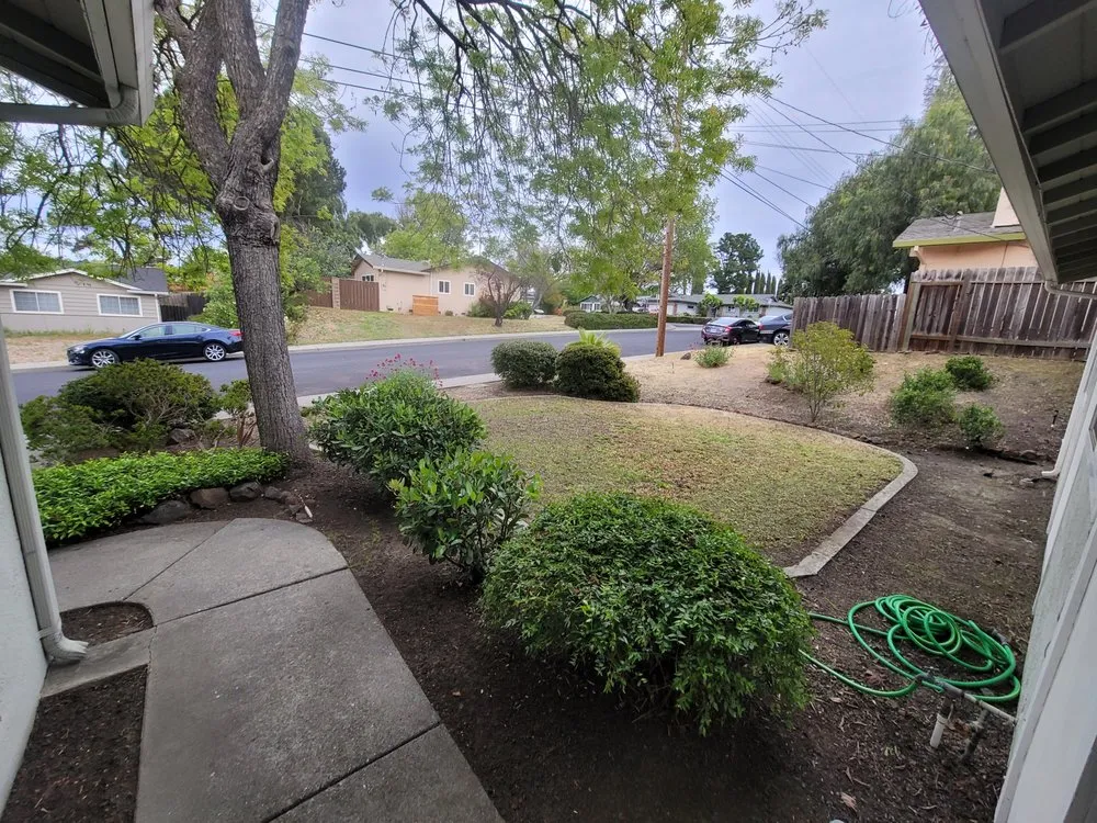 Top-rated lawn mowing service for residential properties across Clayton, CA - Pizzagoni's Landscaping