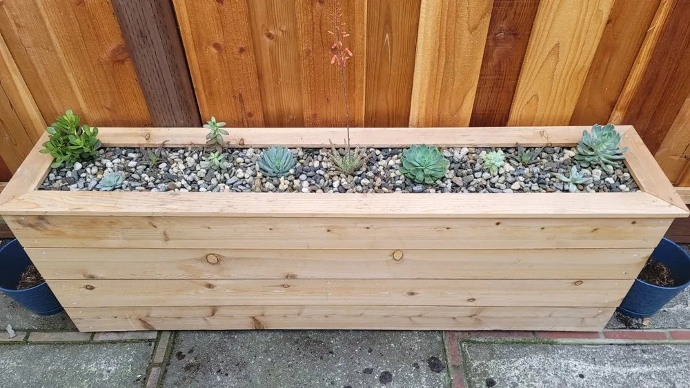 Top-rated residential landscaping experts serving Clayton, CA - Pizzagoni's Landscaping