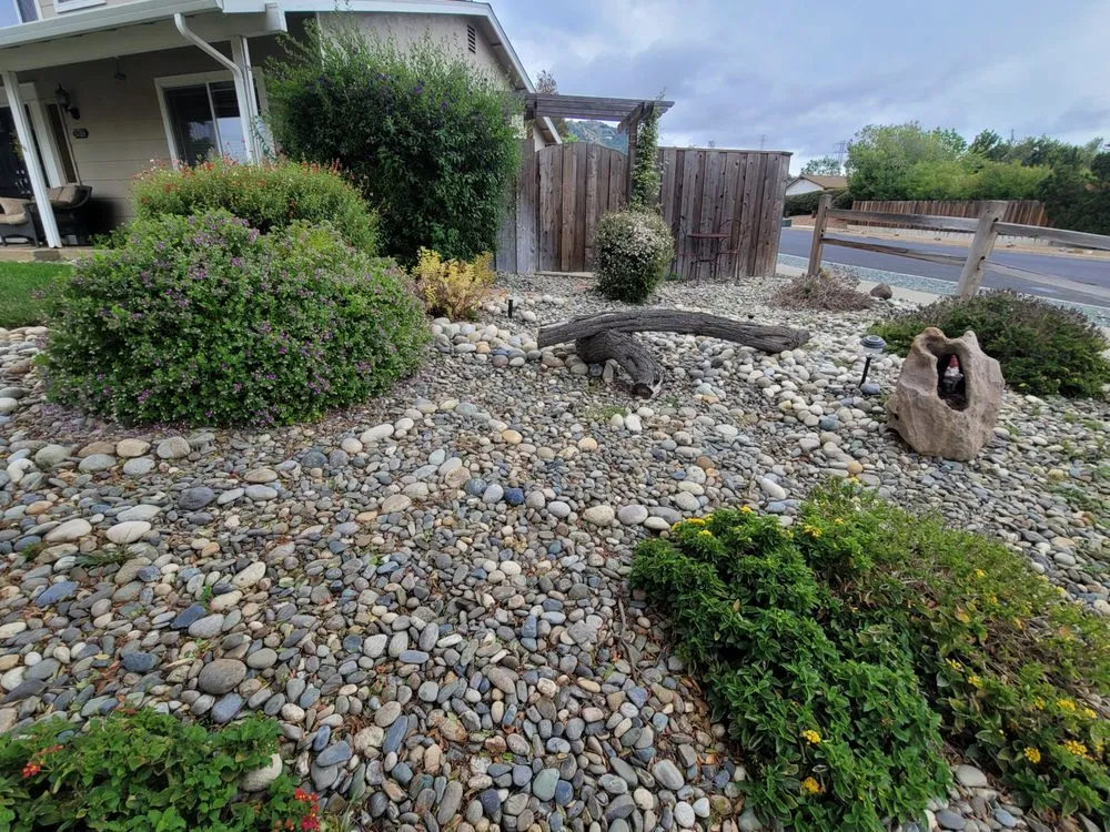 Trusted lawn care service for beautiful yards in Clayton, CA by Pizzagoni's Landscaping