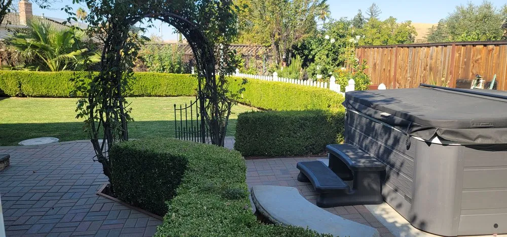Local yard cleanup service in Clayton, CA - Pizzagoni's Landscaping