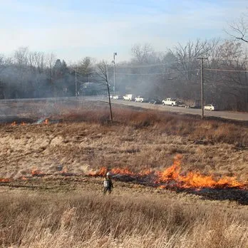 Custom yard maintenance in Three Oaks, MI - Pizzo & Associates