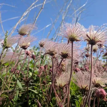 Local landscape installation for outdoor upgrades in Three Oaks, MI by Pizzo & Associates