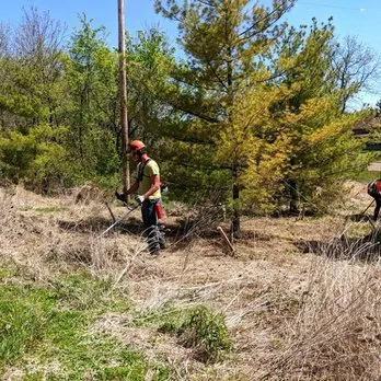 Local lawn care service with custom design in Three Oaks, MI by Pizzo & Associates