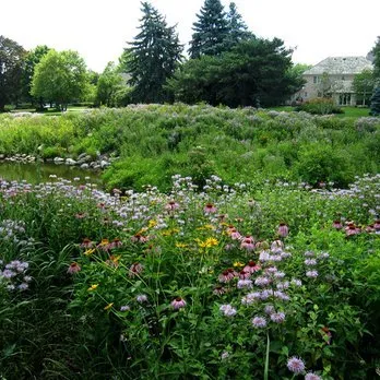 Professional residential landscaping in Three Oaks, MI - Pizzo & Associates