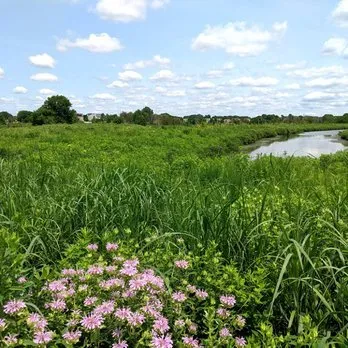 Local garden landscaping in Three Oaks, MI - Pizzo & Associates