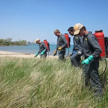 Top-rated yard cleanup service in Three Oaks, MI - Pizzo & Associates