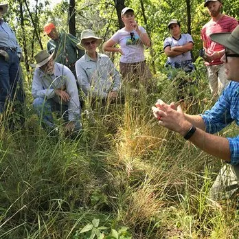Professional landscape design in Three Oaks, MI - Pizzo & Associates