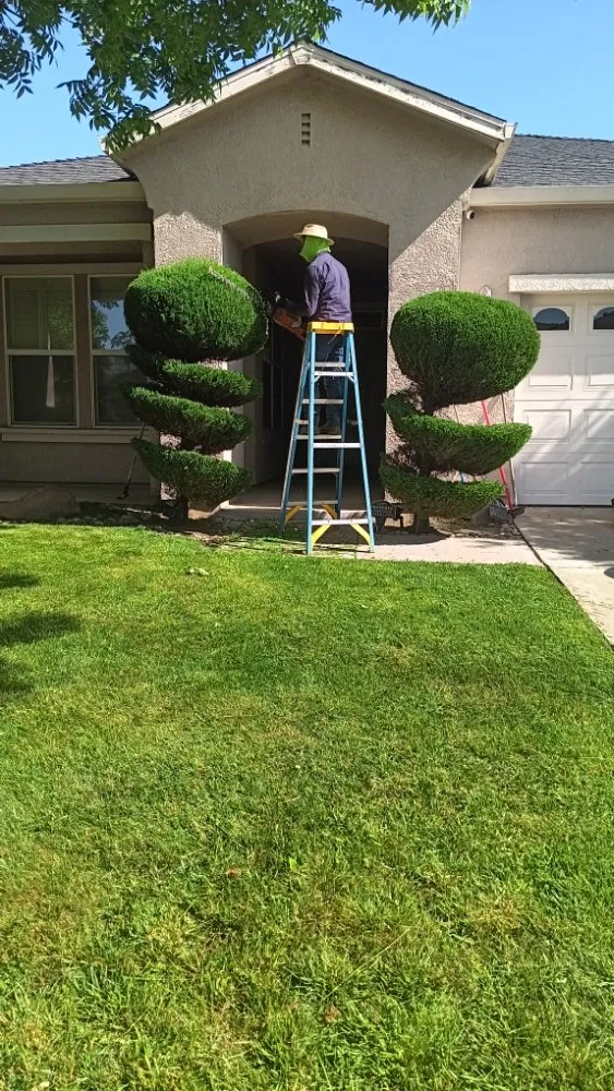 Custom outdoor landscaping with custom design in Stockton, CA by PJ Gardening Service