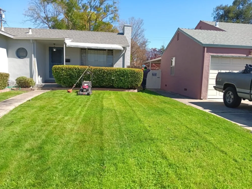 Professional landscape installation near you across Stockton, CA - PJ Gardening Service