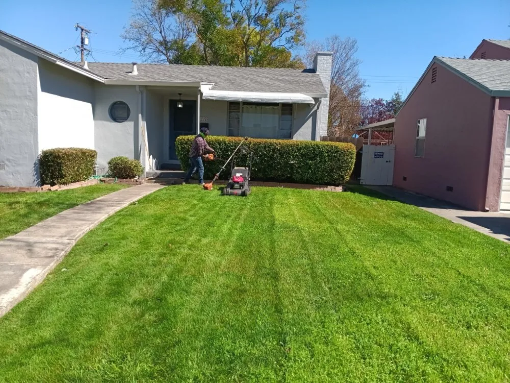 Trusted landscaping services experts serving Stockton, CA - PJ Gardening Service