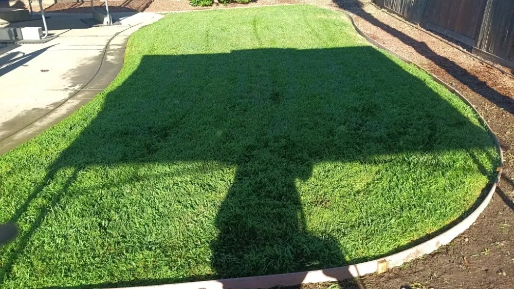 Expert outdoor landscaping in Stockton, CA - PJ Gardening Service