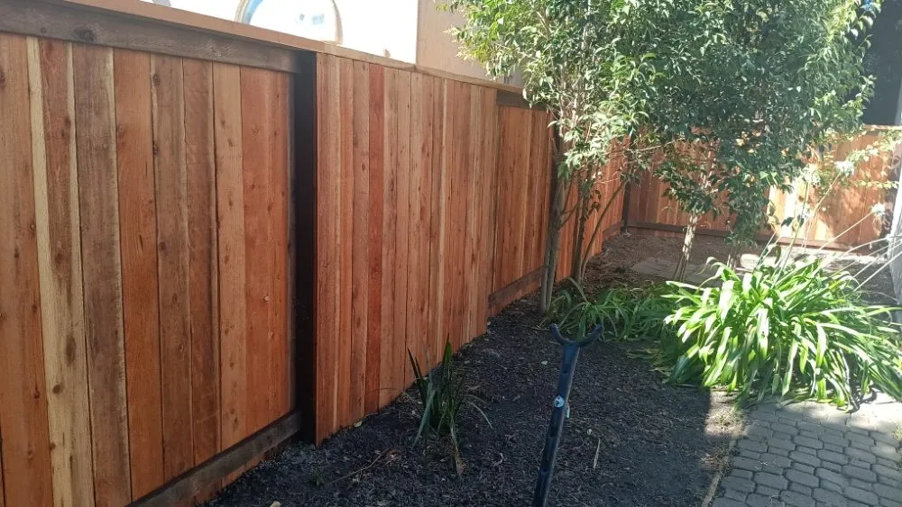 Professional yard cleanup service for homes in Stockton, CA by PJ Gardening Service