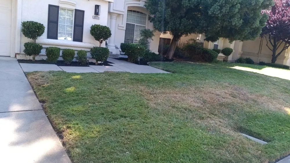 Local lawn mowing service experts serving Stockton, CA - PJ Gardening Service