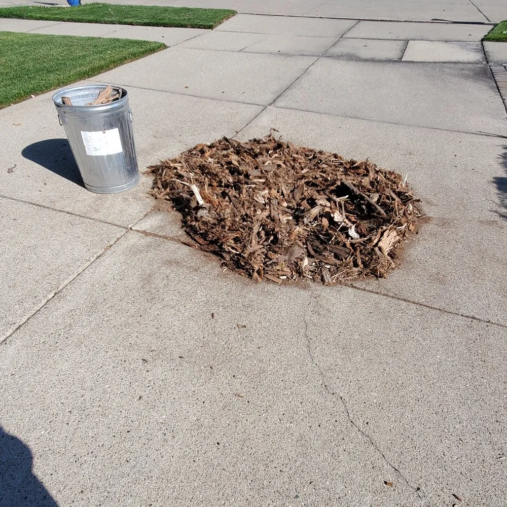 Affordable lawn care service in Shelby Township, MI - PJ Hebert