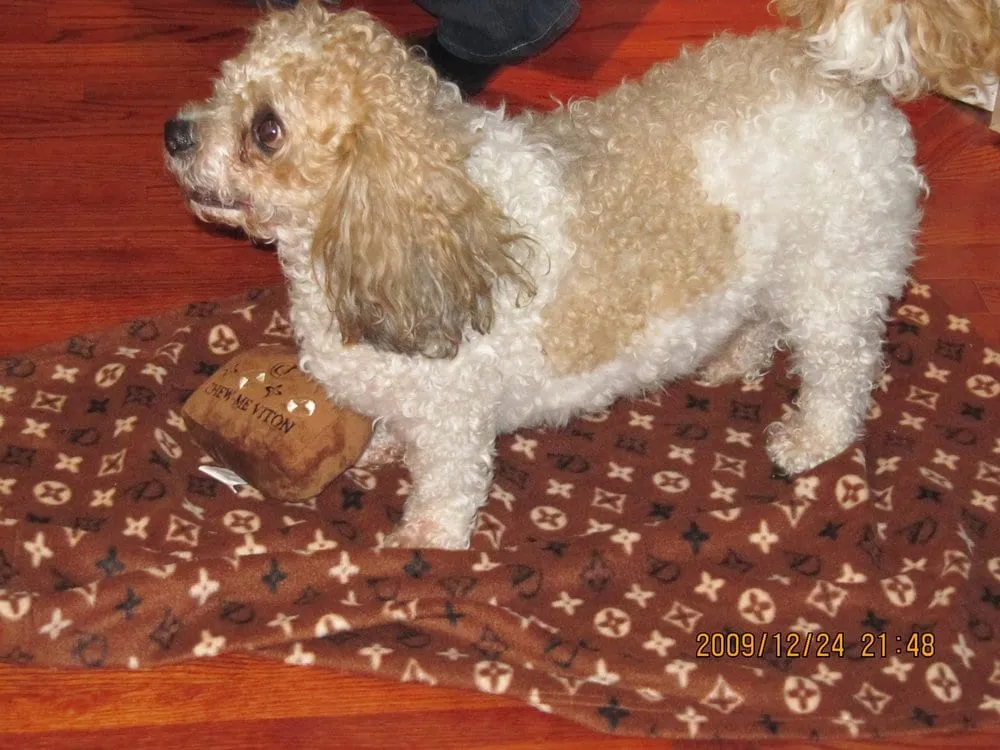 Custom garden landscaping in Shelby Township, MI - PJ Hebert