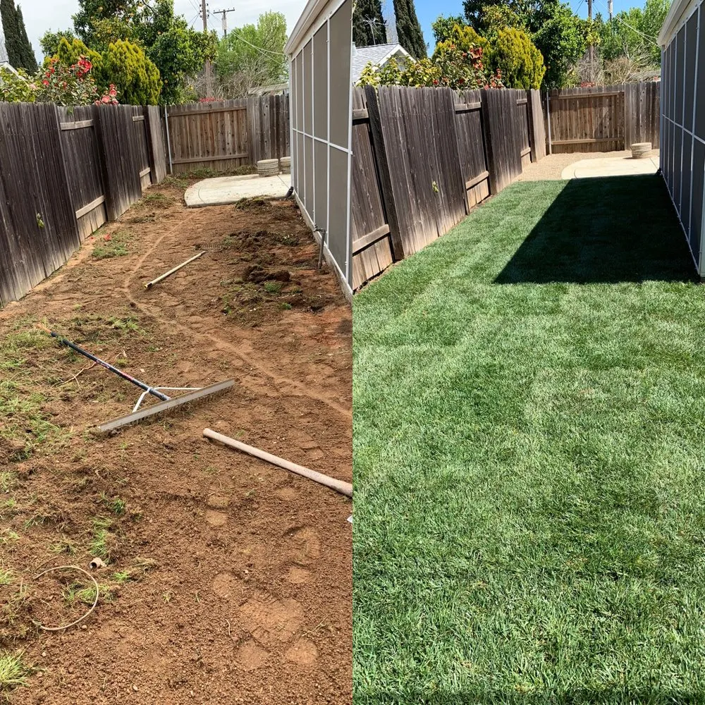 Top-rated yard cleanup service for homes across Sacramento, CA - PJ Landscaping & Design