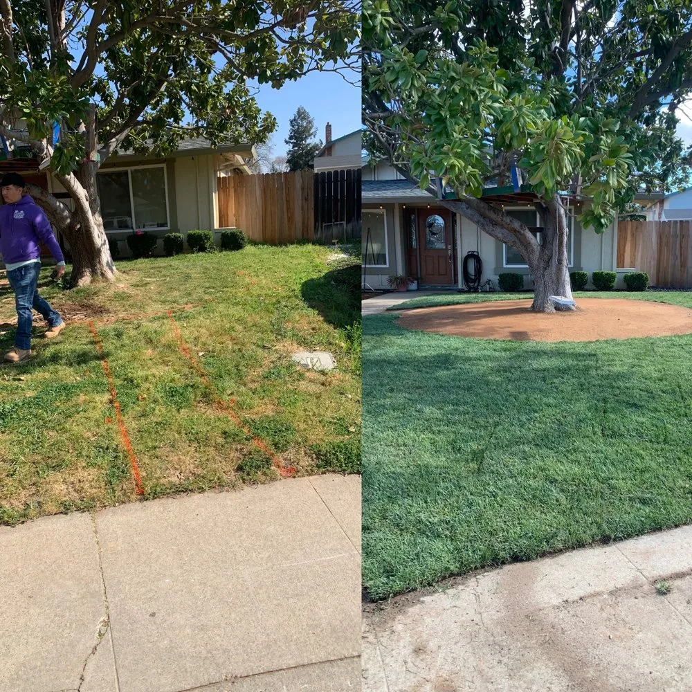 Top-rated residential landscaping for outdoor upgrades across Sacramento, CA - PJ Landscaping & Design