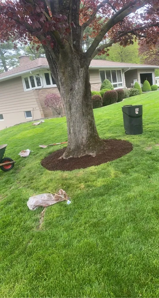 Affordable garden landscaping for homes in Kingston, NY by P&J Landscaping and Tree Service