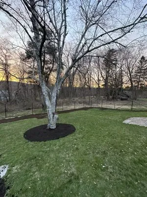 P&J Landscaping and Tree Service Logo