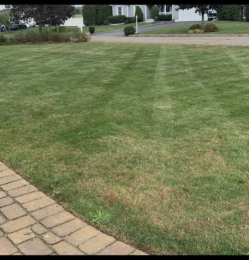 Custom yard maintenance for beautiful yards in Calverton, NY by P&J Landscaping