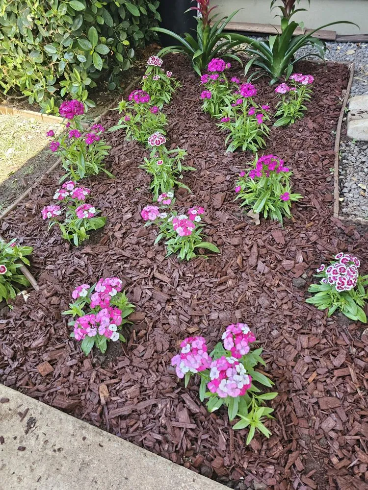 Trusted garden landscaping in Lahaina, HI by Pj Landscaping