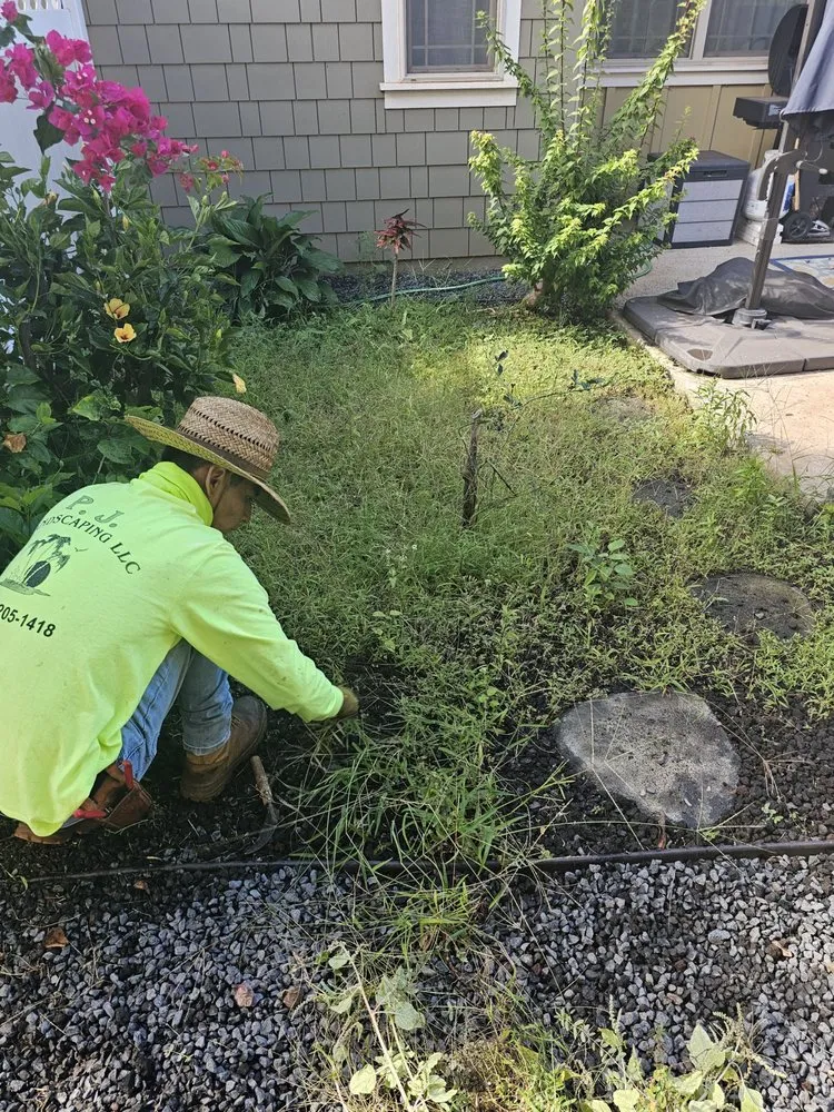 Reliable residential landscaping experts serving Lahaina, HI - Pj Landscaping