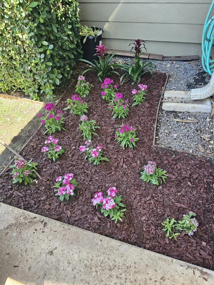 Custom residential landscaping for homes across Lahaina, HI - Pj Landscaping
