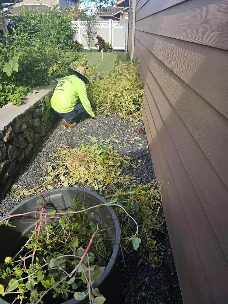 Trusted lawn mowing service experts serving Lahaina, HI - Pj Landscaping