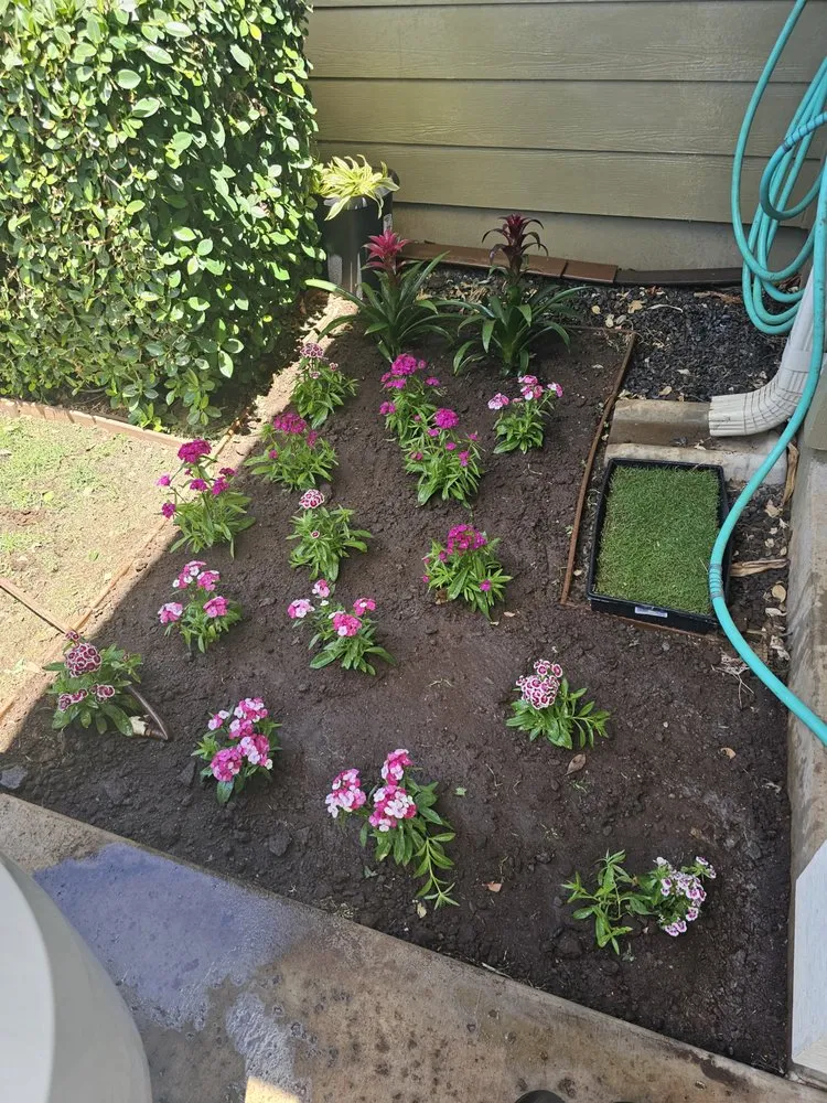 Expert landscaping services for residential properties in Lahaina, HI by Pj Landscaping