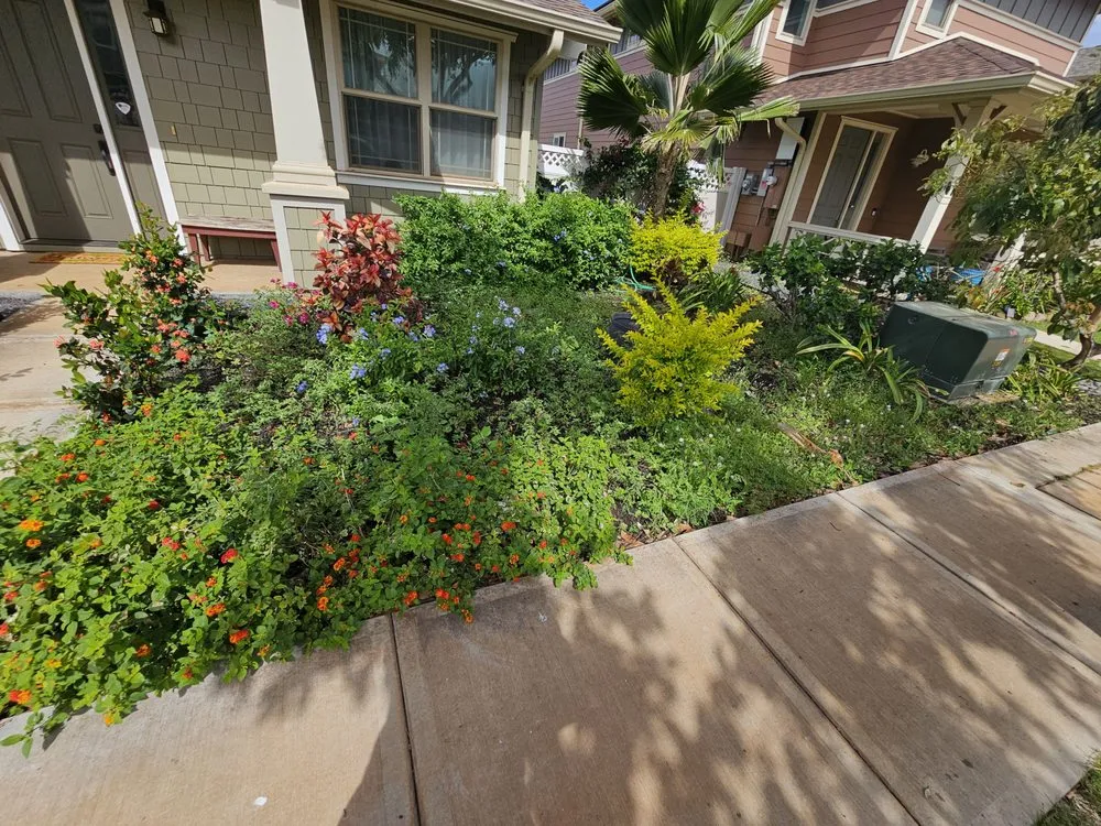 Affordable landscaping services in Lahaina, HI - Pj Landscaping