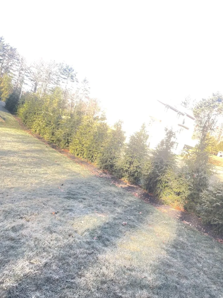 Affordable garden landscaping in Marshfield, MA - PJ Landscaping Pro