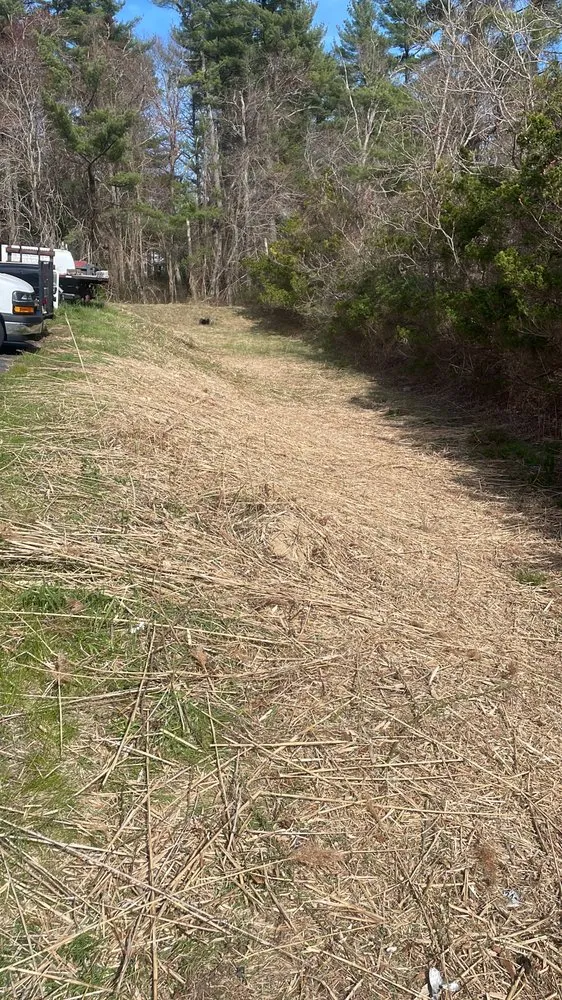 Affordable landscape installation for homes in Marshfield, MA by PJ Landscaping Pro