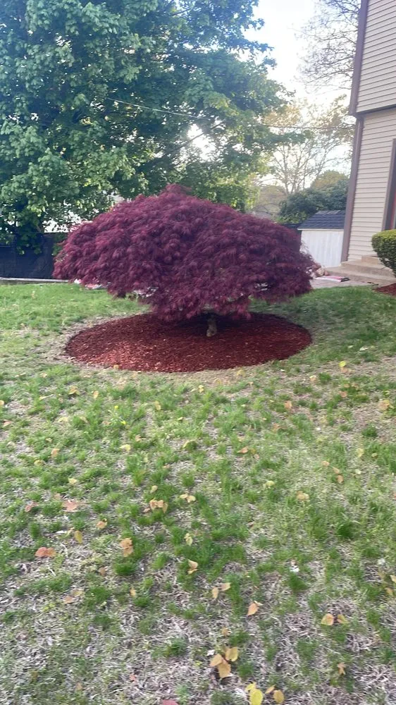 Expert lawn care service for beautiful yards in Marshfield, MA by PJ Landscaping Pro