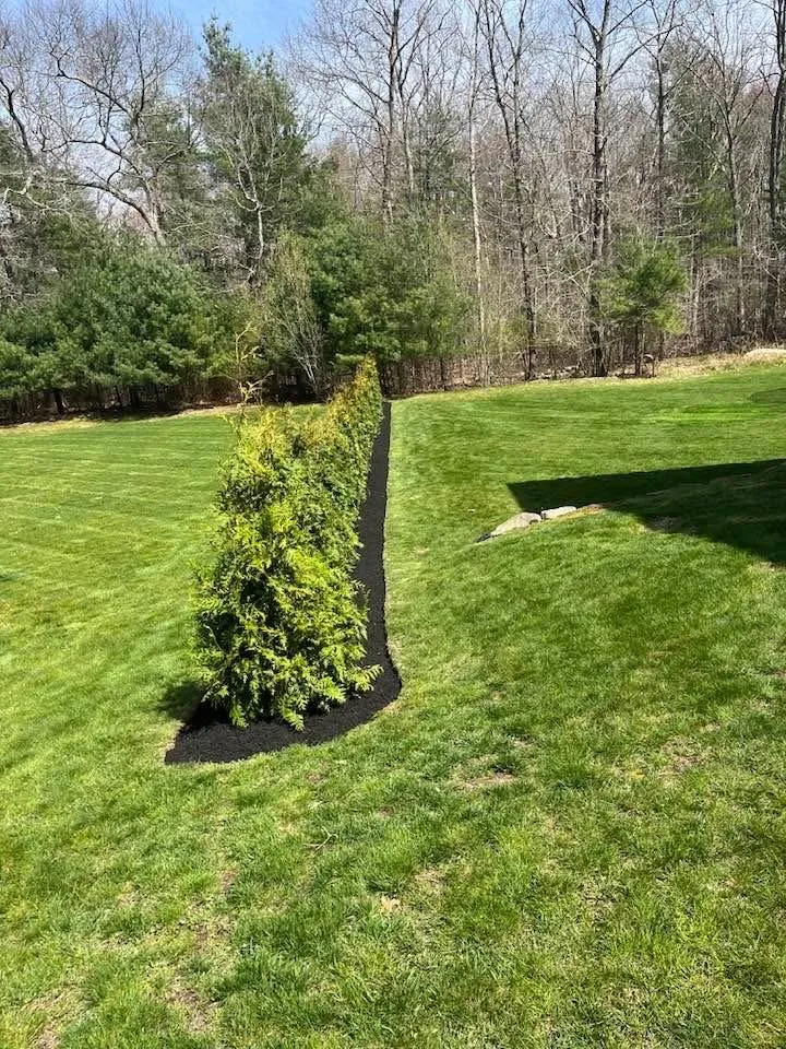 Professional residential landscaping for beautiful yards across Marshfield, MA - PJ Landscaping Pro