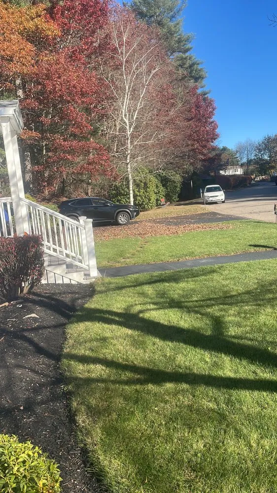 Reliable yard cleanup service with custom design in Marshfield, MA by PJ Landscaping Pro