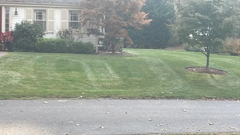 Top-rated yard cleanup service experts serving Marshfield, MA - PJ Landscaping Pro