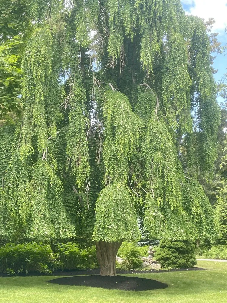 Affordable garden landscaping experts serving Marshfield, MA - PJ Landscaping Pro