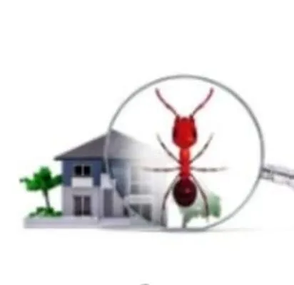 PJA Pest & Property Management Logo