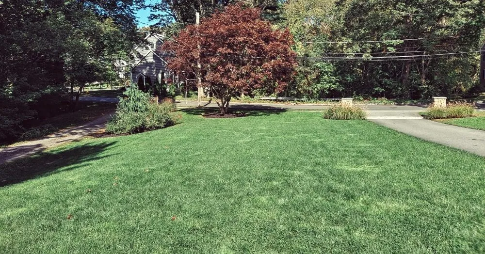 Custom yard cleanup service in Rowley, MA - PJC Ecological