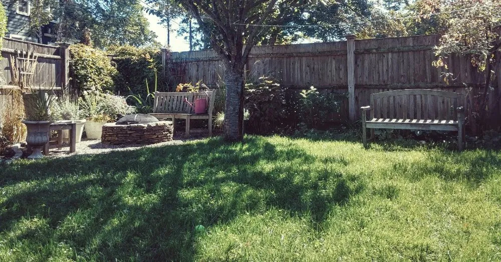 Trusted lawn care service experts serving Rowley, MA - PJC Ecological