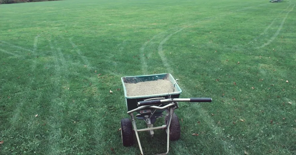 Reliable lawn mowing service in Rowley, MA - PJC Ecological