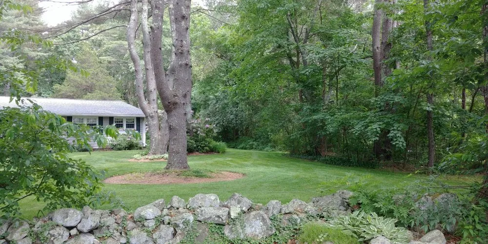 Top-rated yard cleanup service for residential properties in Rowley, MA by PJC Ecological