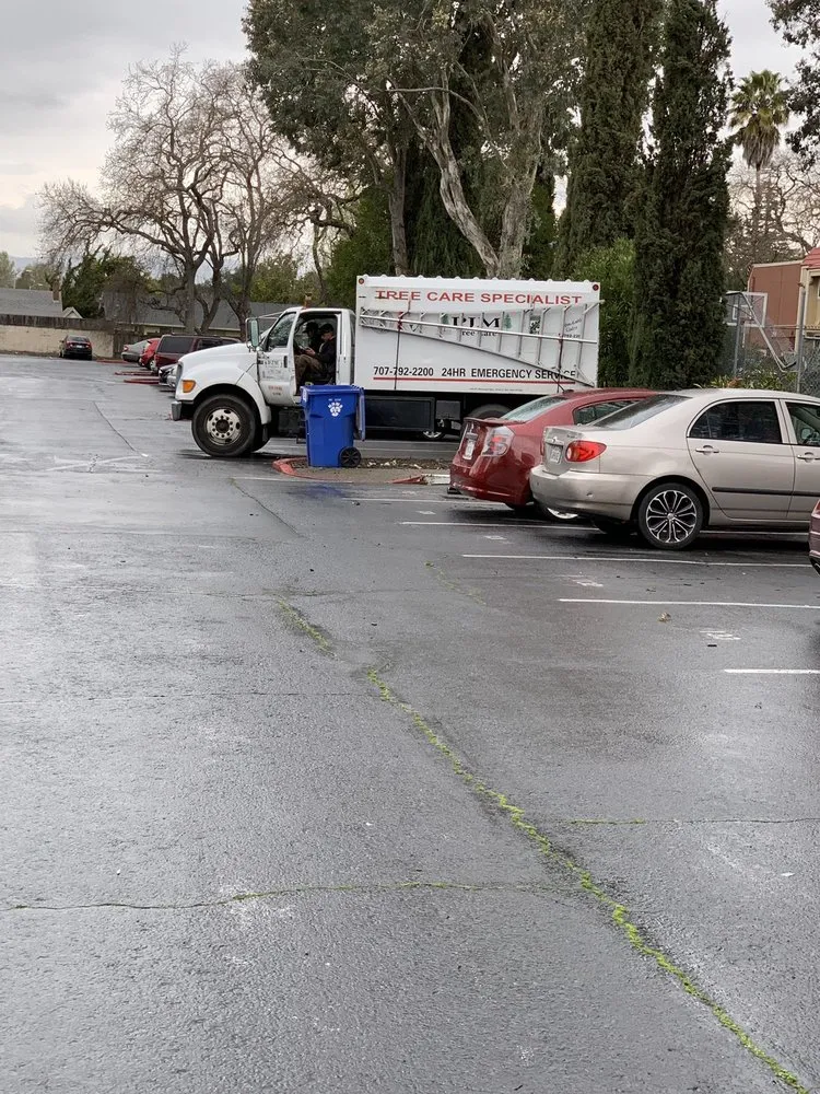 Professional yard cleanup service in Rohnert Park, CA - PJM Yard Maintenance