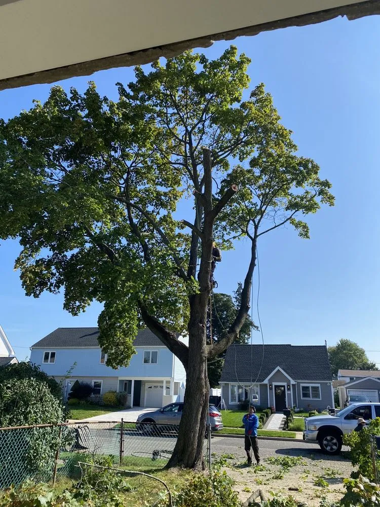 Trusted landscaping services for outdoor upgrades in Bay Shore, NY by P.J.R Landscaping & Tree Service